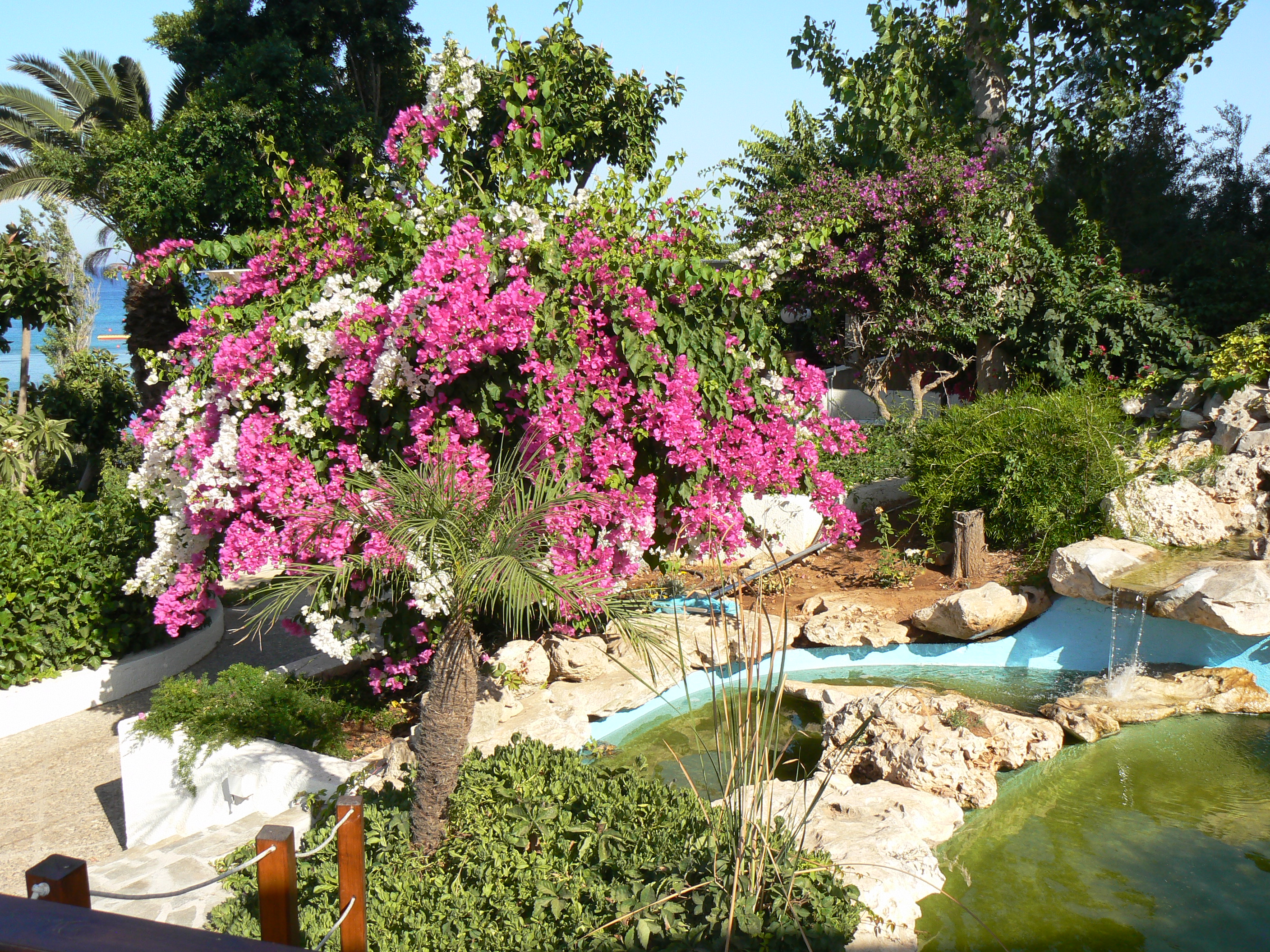 Фото Golden Coast Beach
