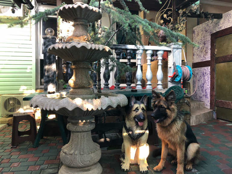 Фото Волшебный дворик