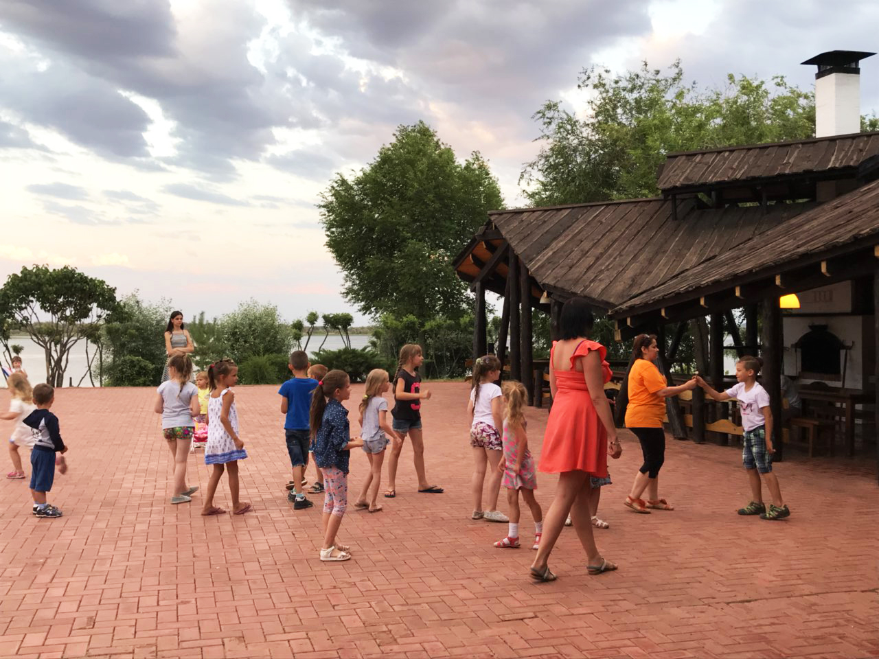 Фото Подсолнух