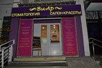 Виармед (Novocherkasskiy Boulevard, 47), centro médico, clínica