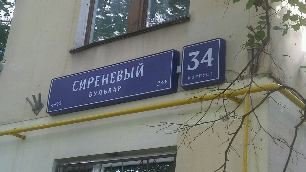 Playground Playground, Moscow, photo