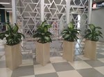 Office-flora.ru (Kurchatova Street, 1), landscaping of premises