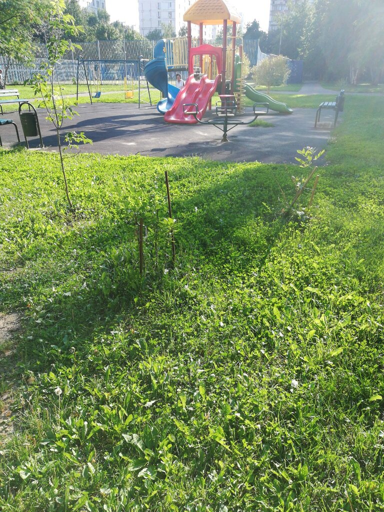 Playground Playground, Moscow, photo