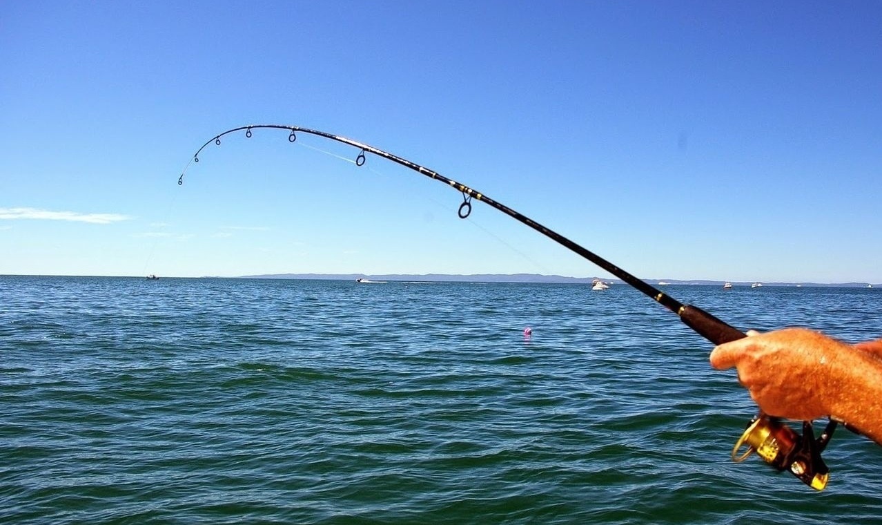 Фото Чудской