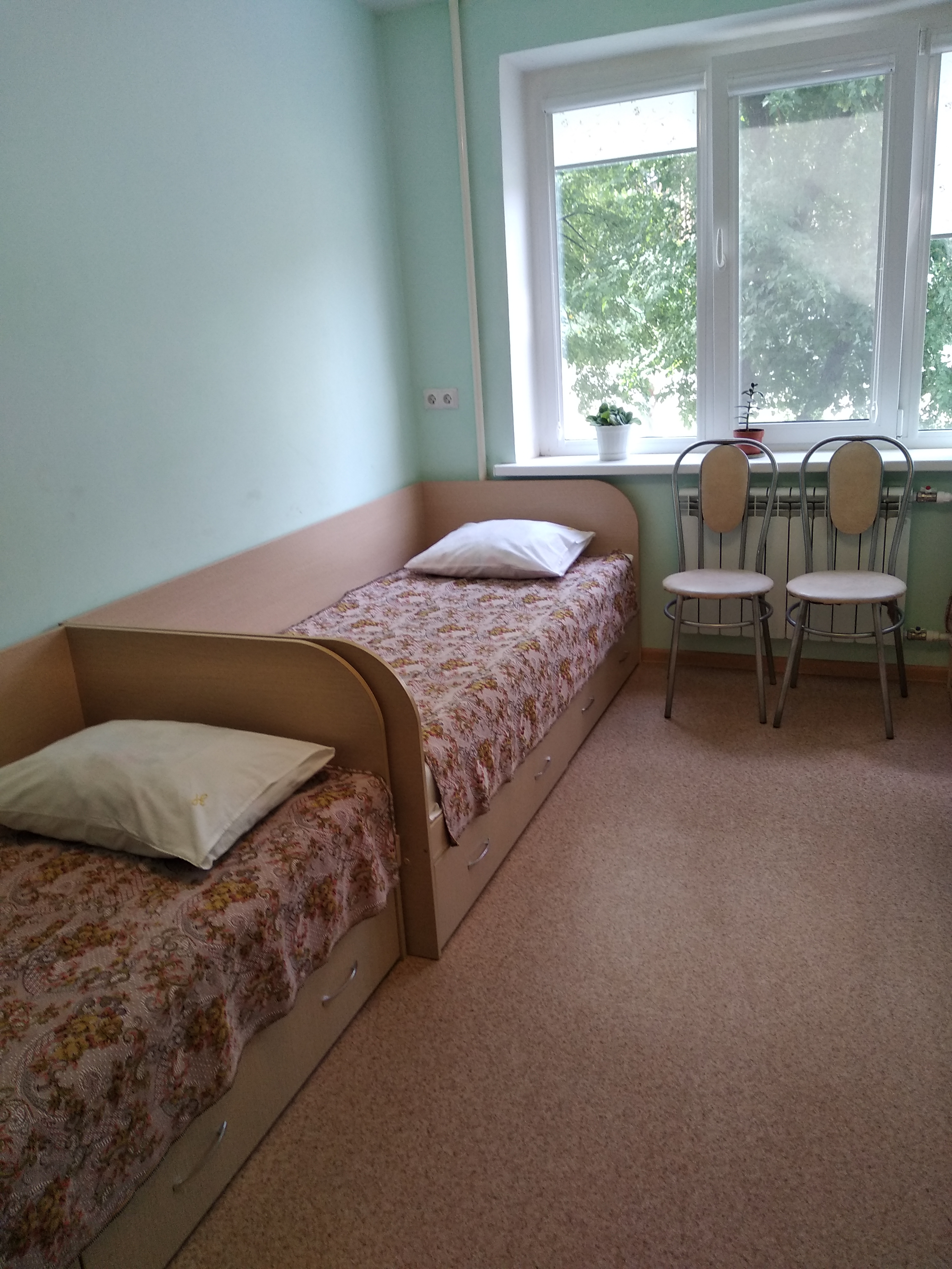 Фото Золотая рыбка