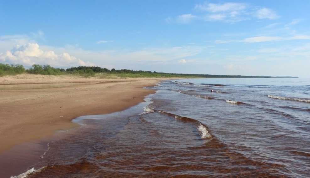 Фото Алавойне