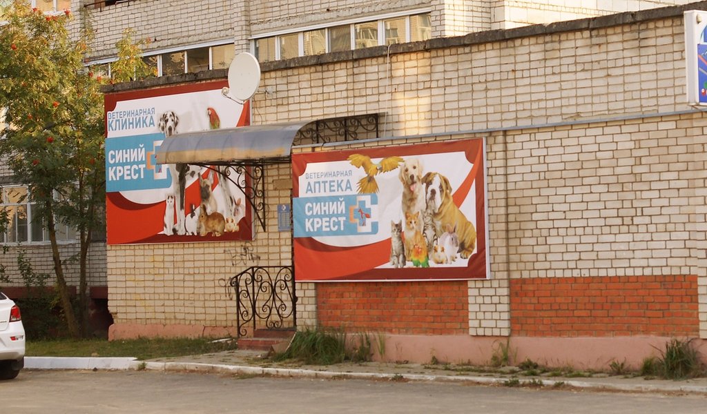 Ветеринарная клиника Синий Крест, Жуков, фото