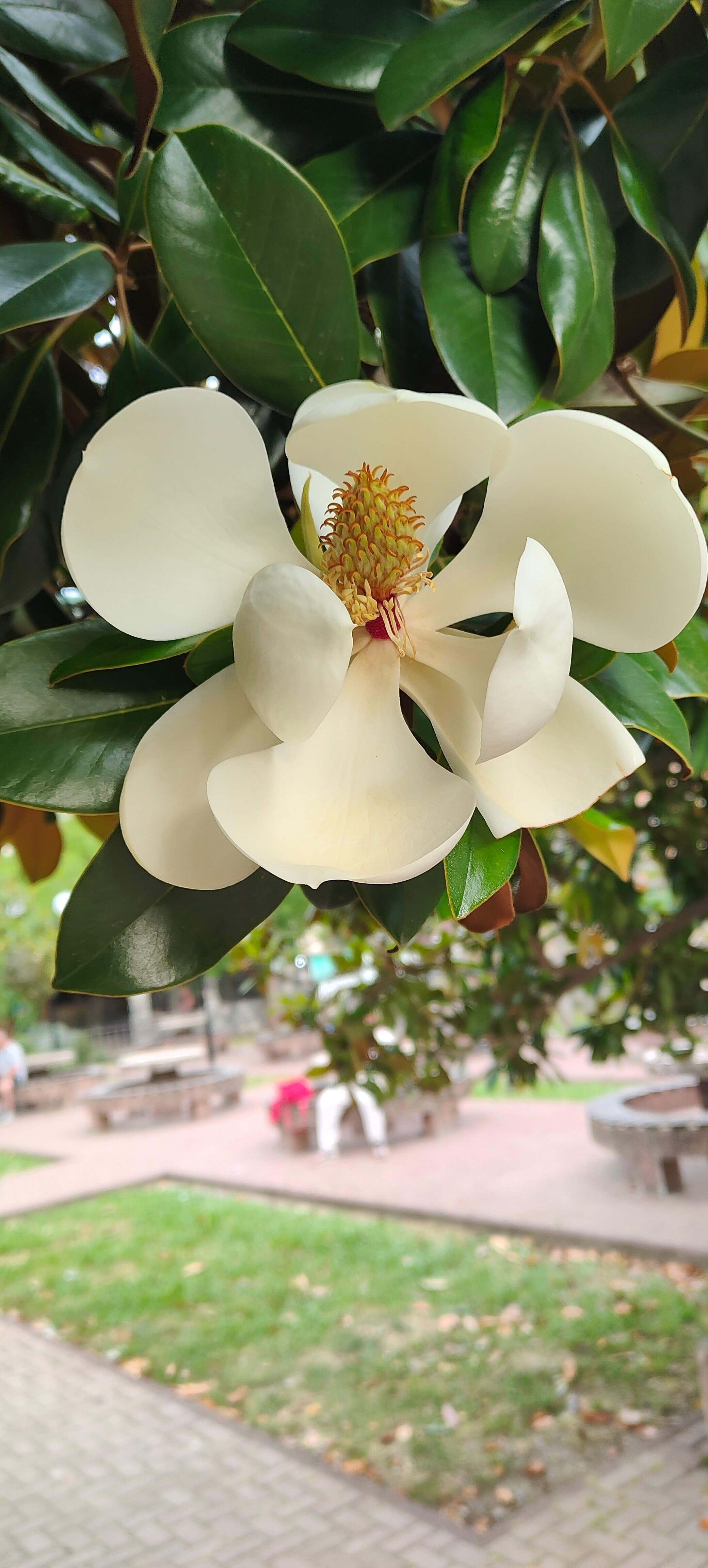 Фото Акалам Кантри Клаб