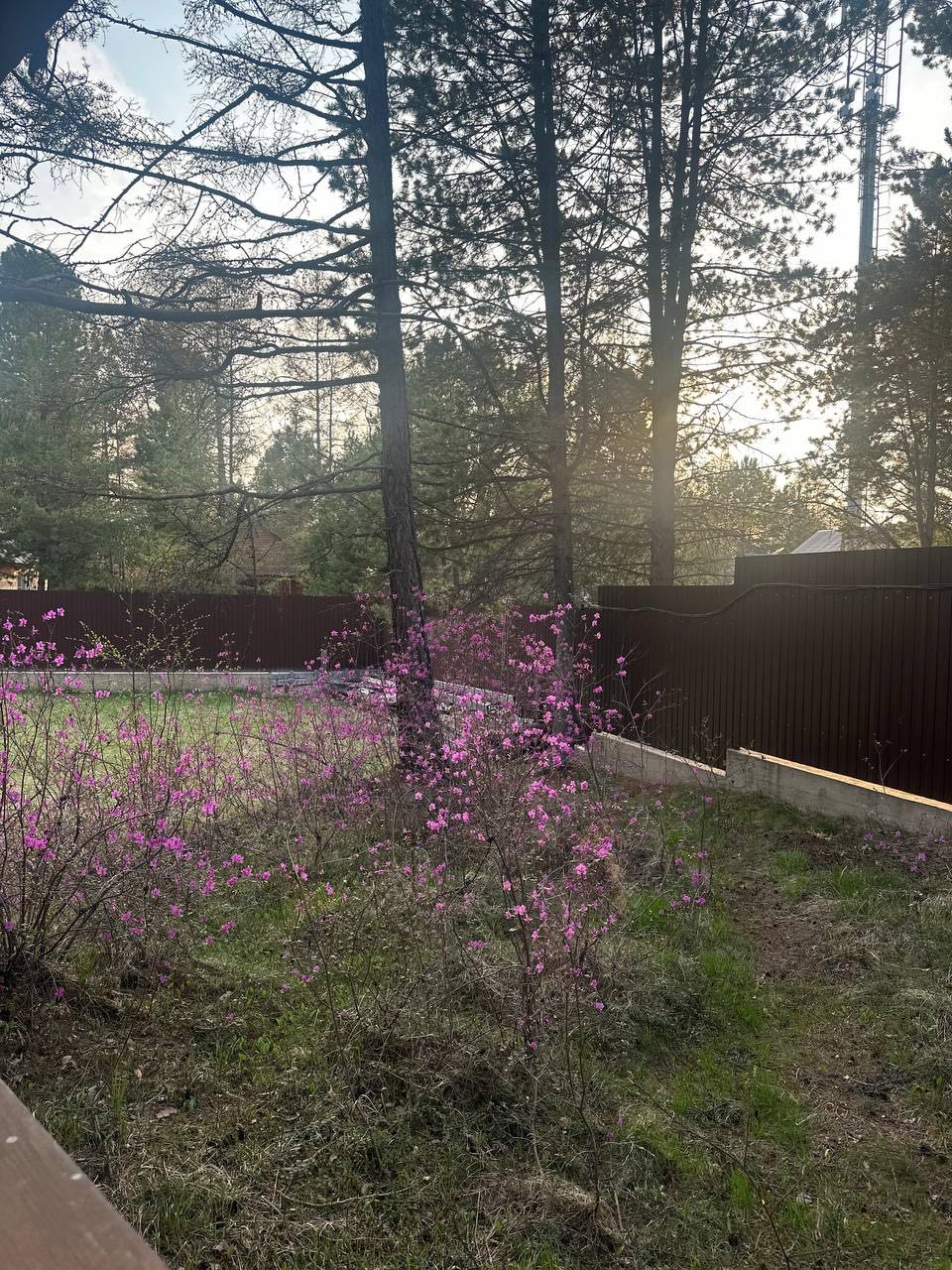 Фото Дом отдыха Байкал