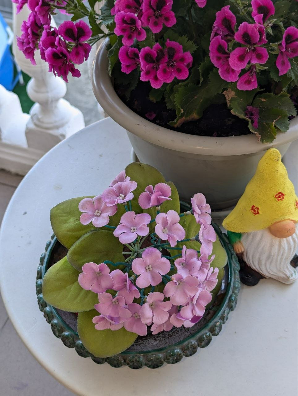 Фото Белые Росы