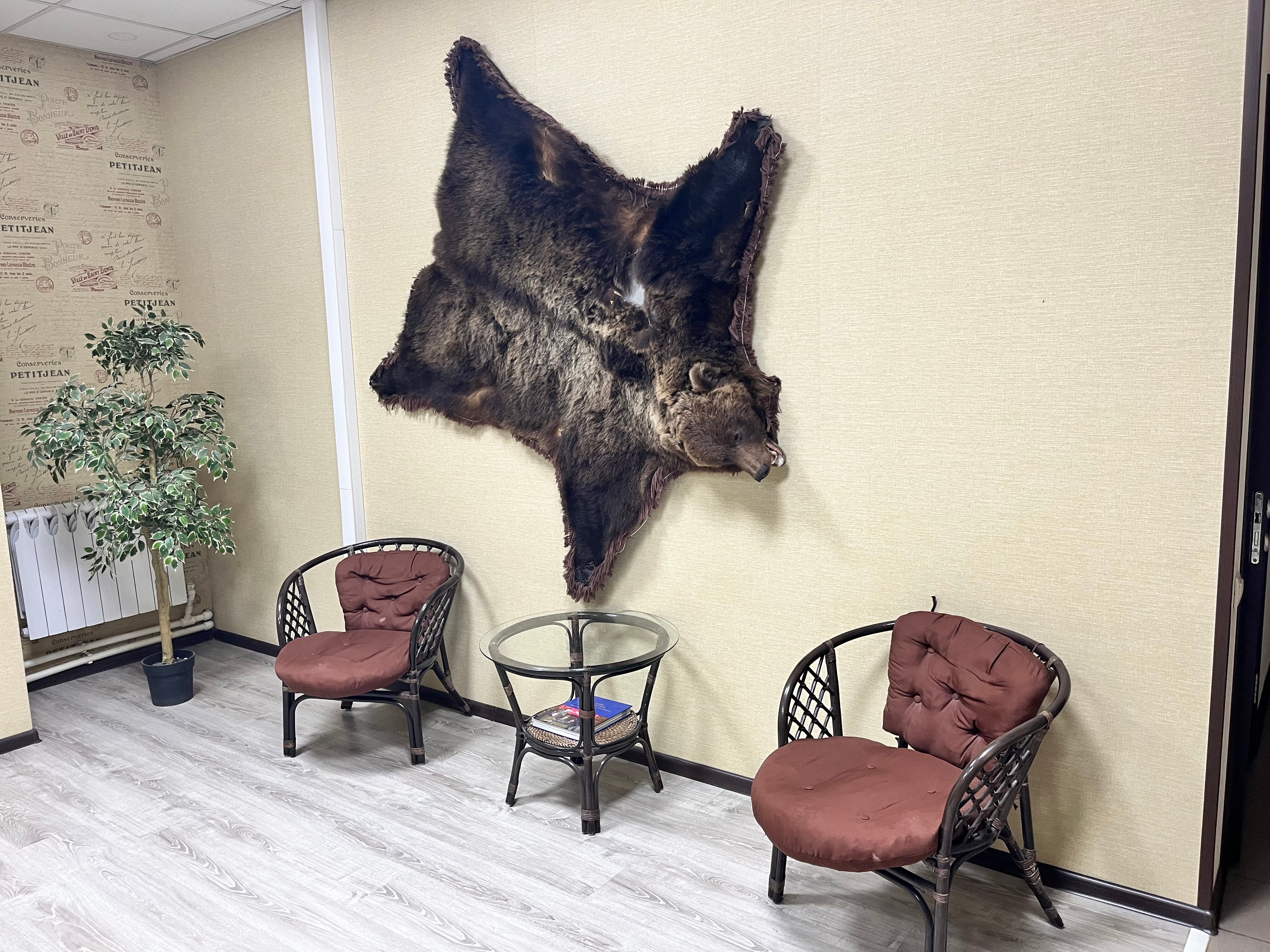 Фото Акварель