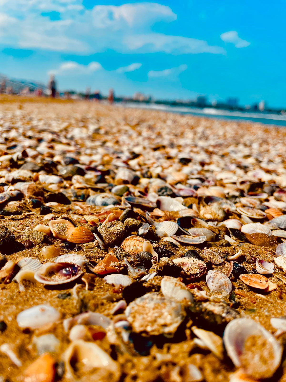 Фото SolarHouse Анапа