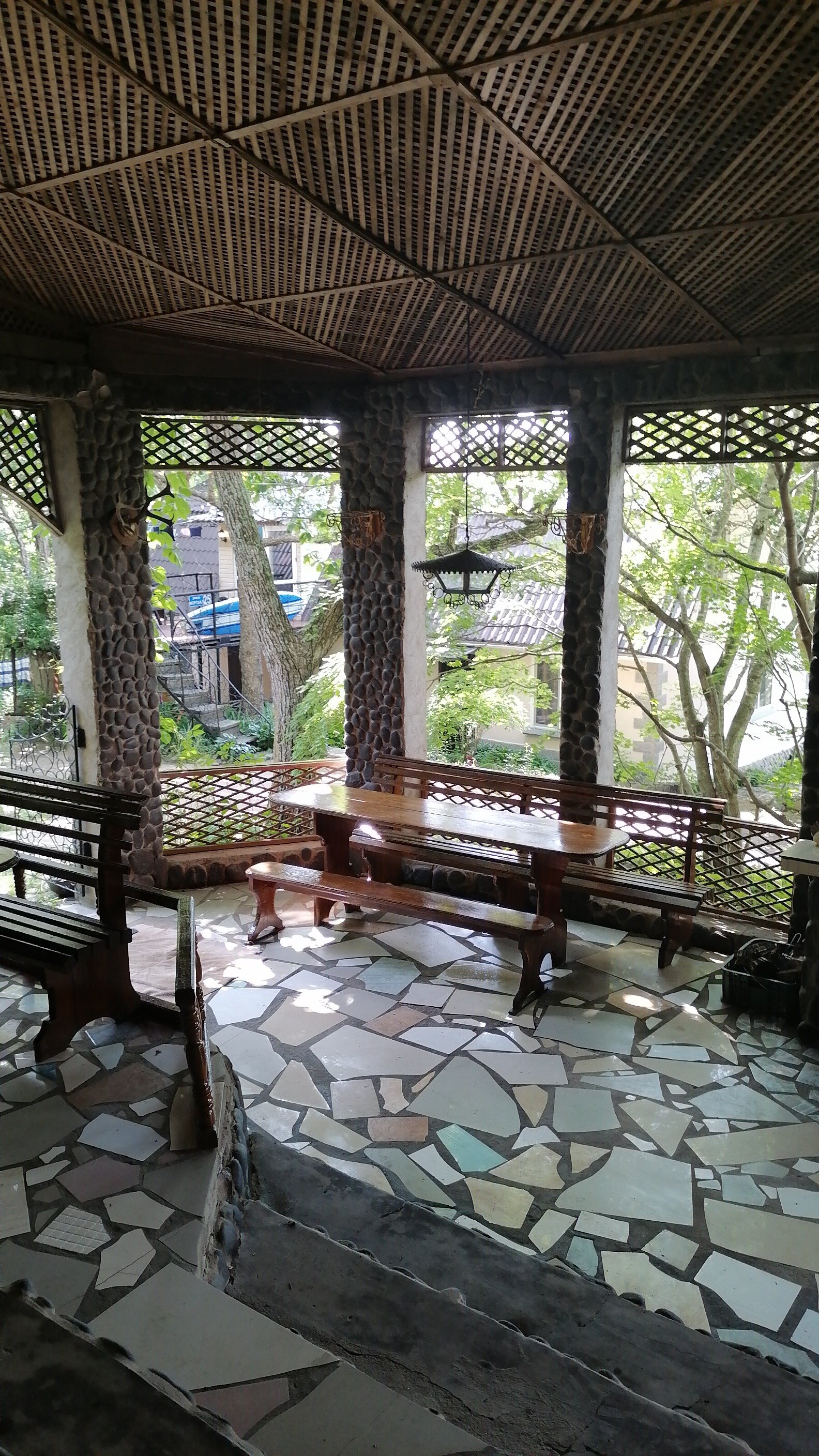 Фото Дельфин