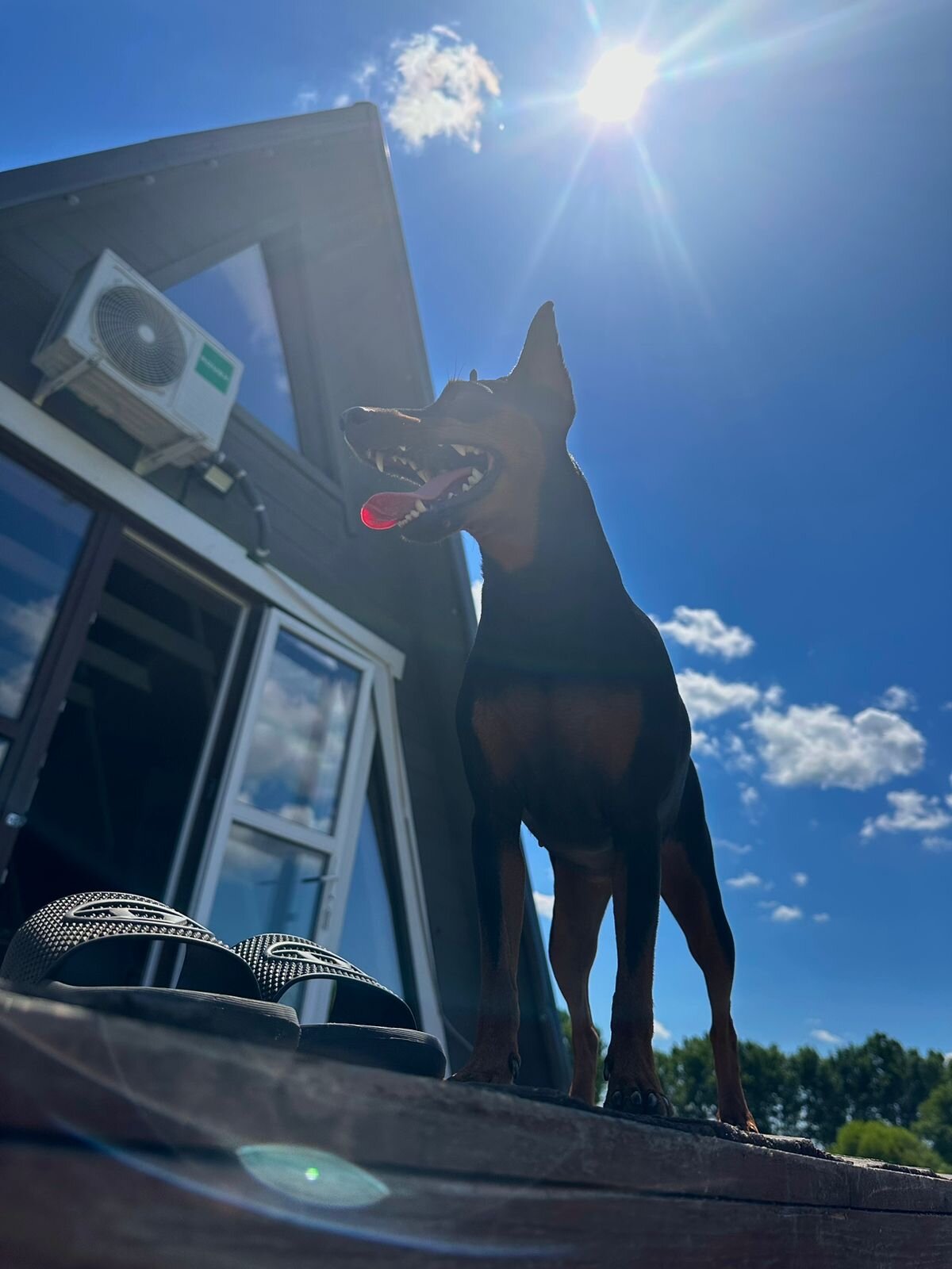 Фото ДонДом