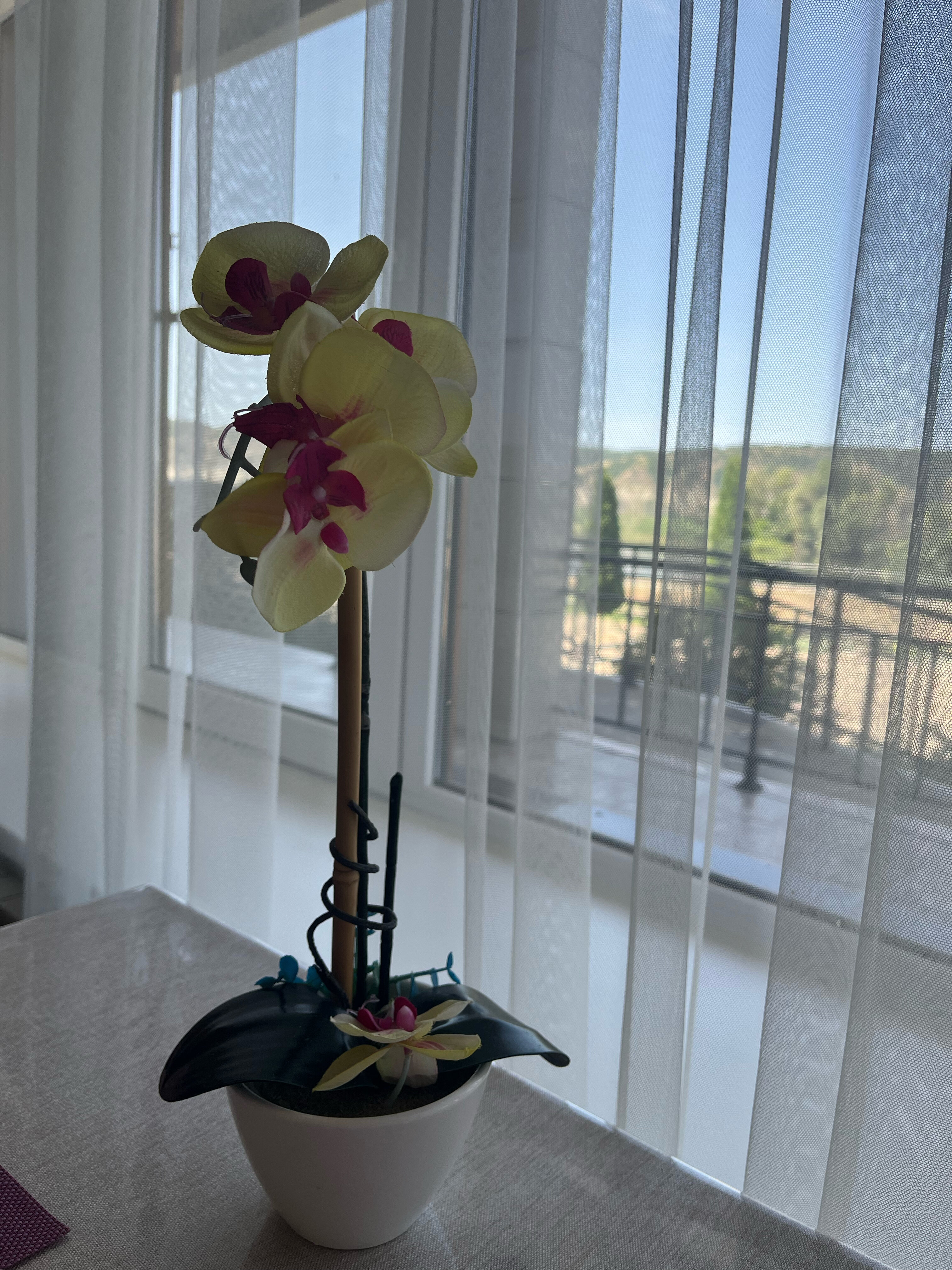 Фото Адмиралъ