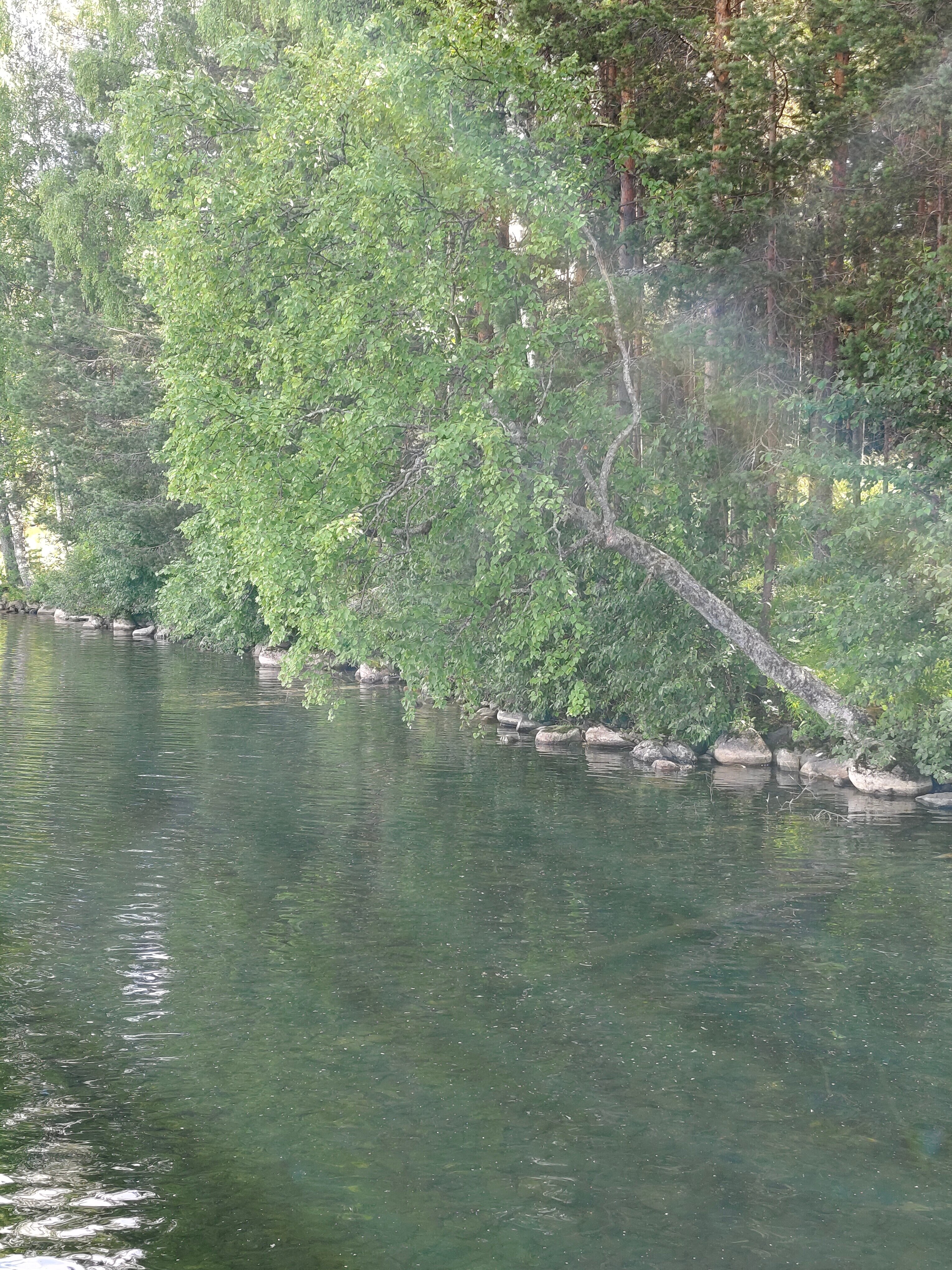 Фото Урозеро