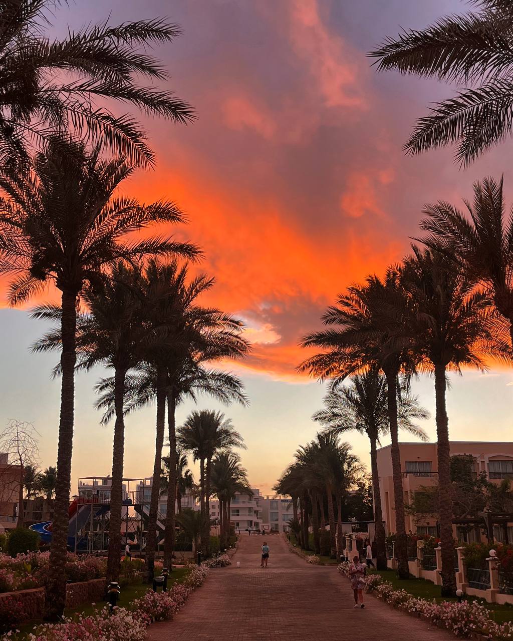 Фото Ivy Cyrene Island Aqua Park Resort