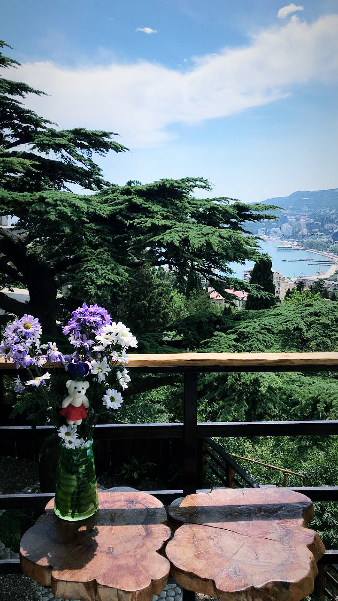 Фото Мистер Тукер