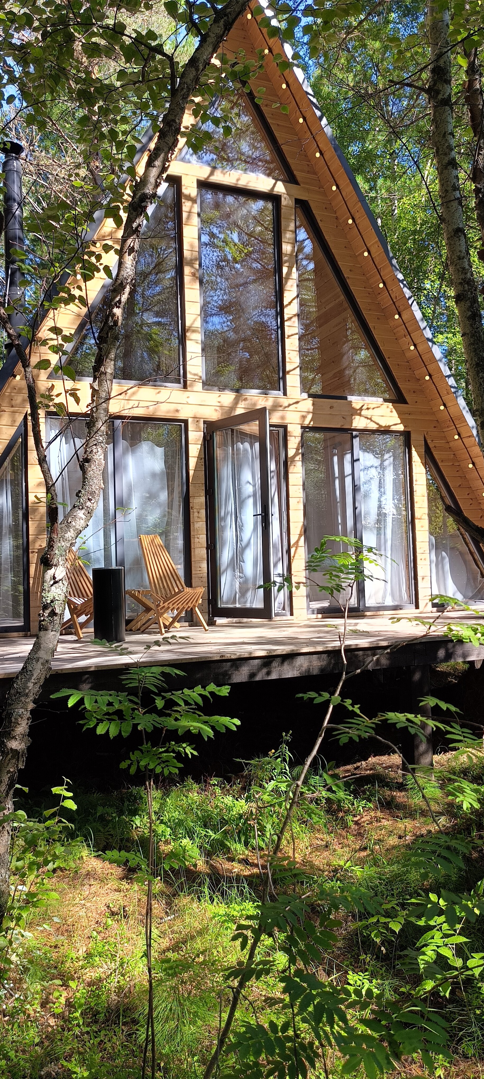 Фото Тэнгис