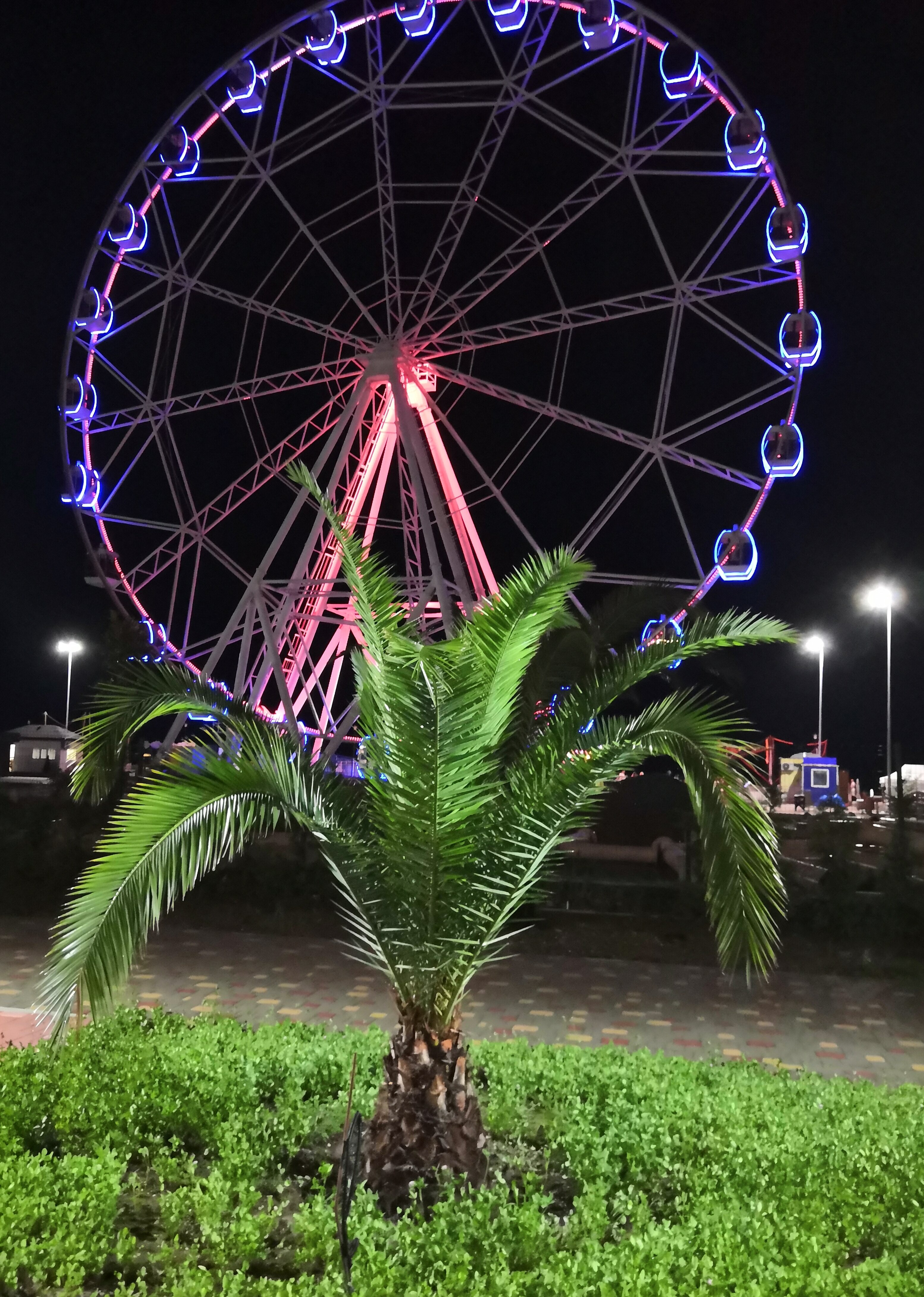 Фото Малибу