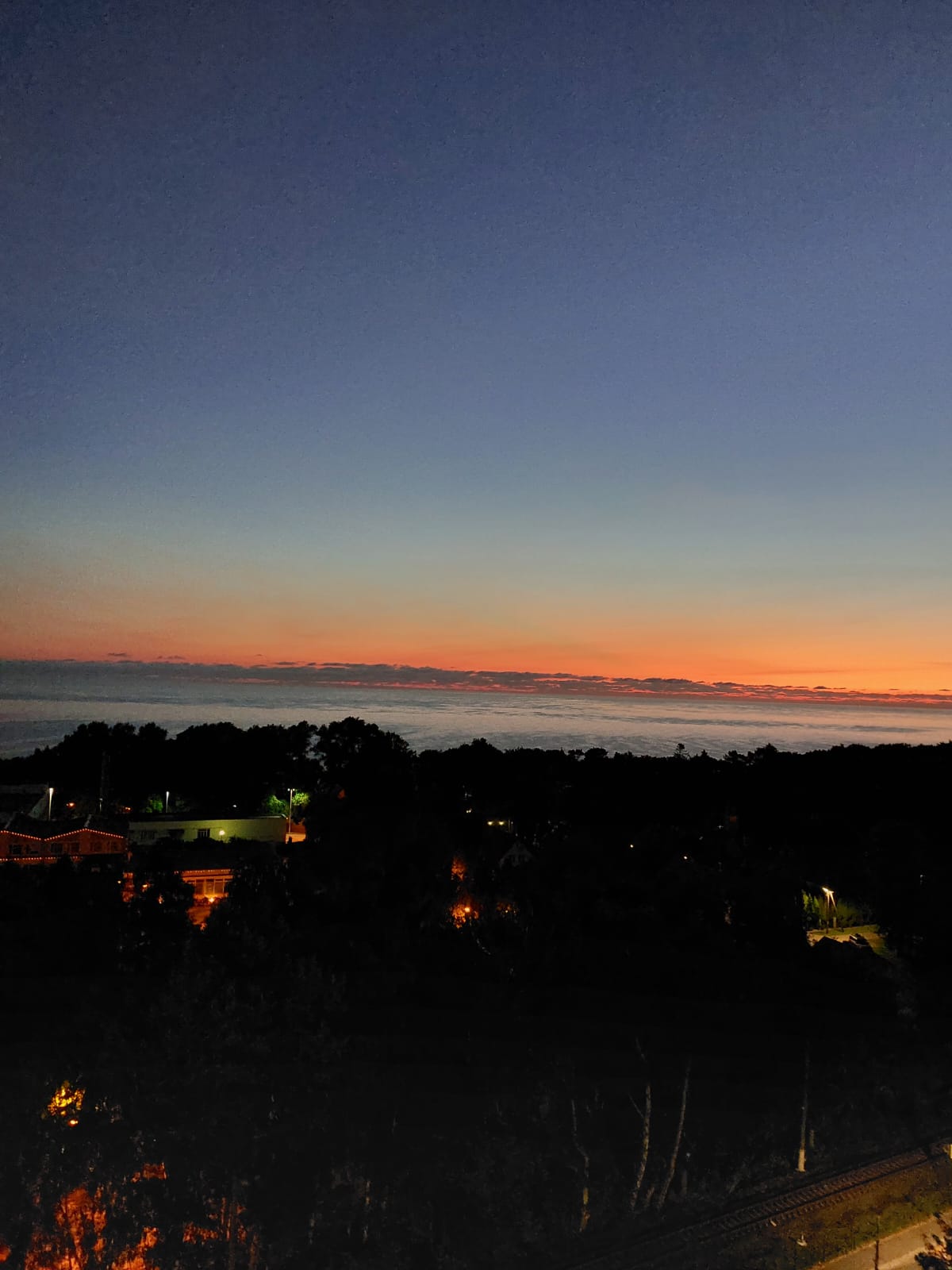 Фото Холидей Светлогорск