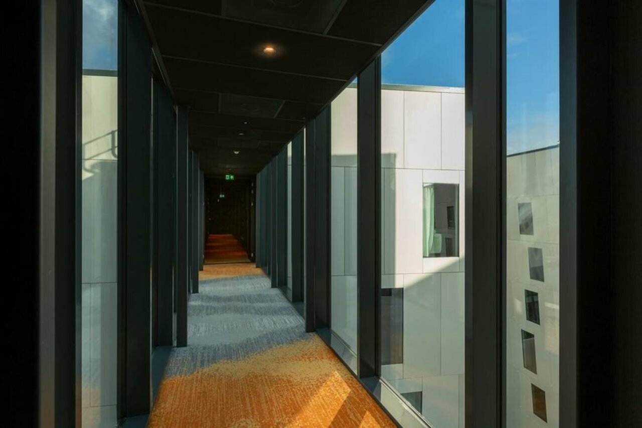 Фото The niu Fender