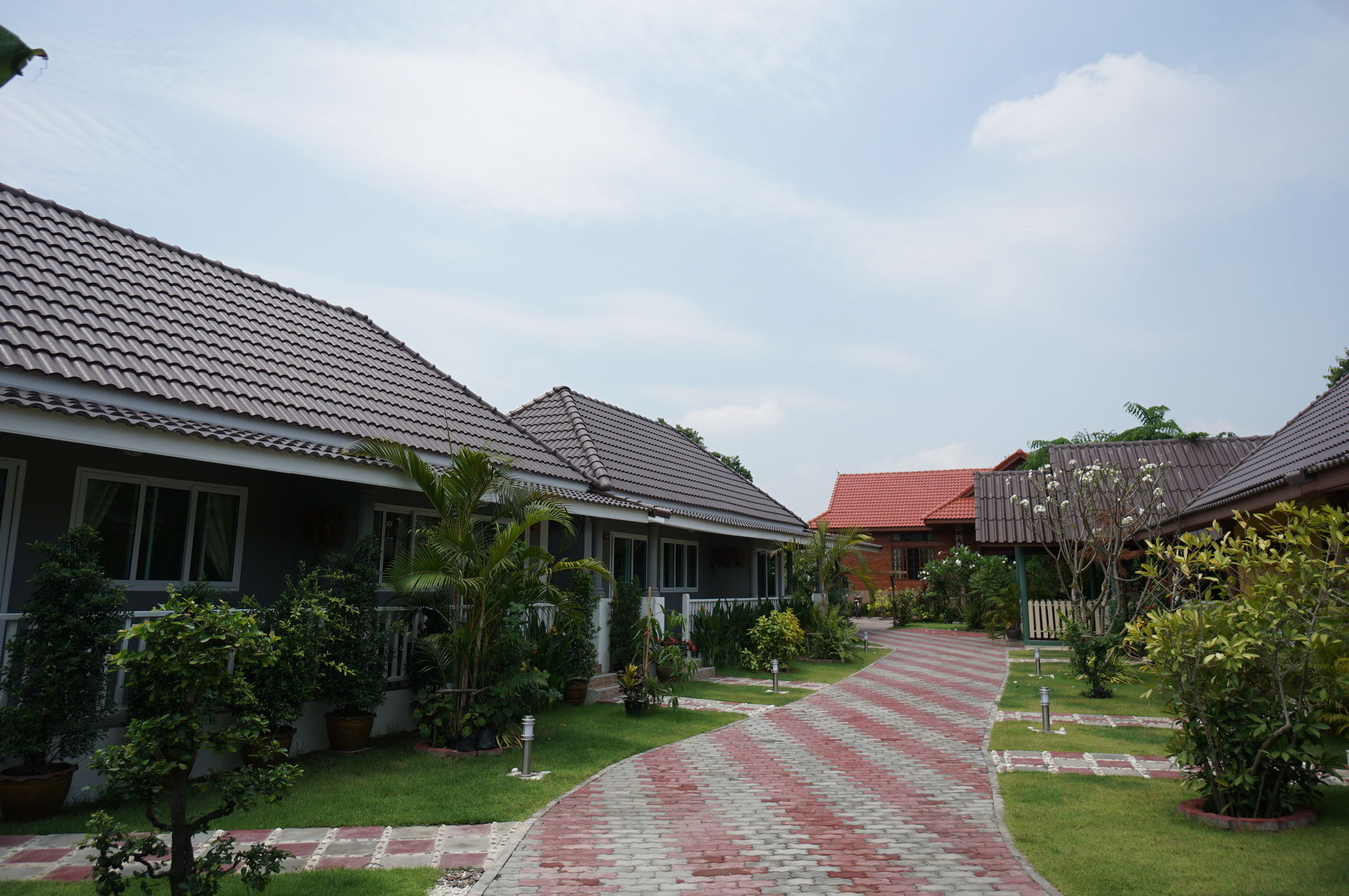 Фото Baan Penny