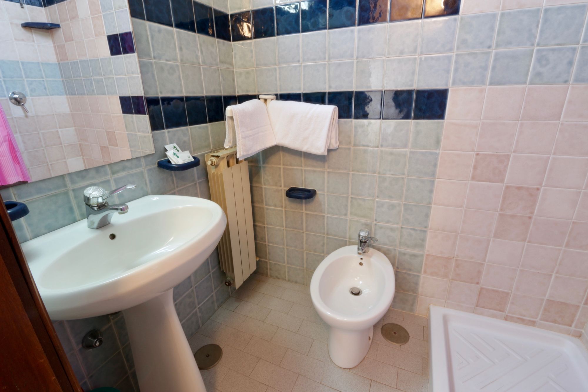 Фото Hotel Fiorentina