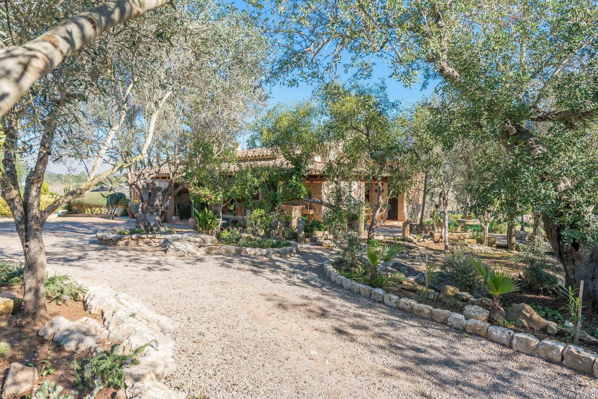 Фото Marina Can Borras