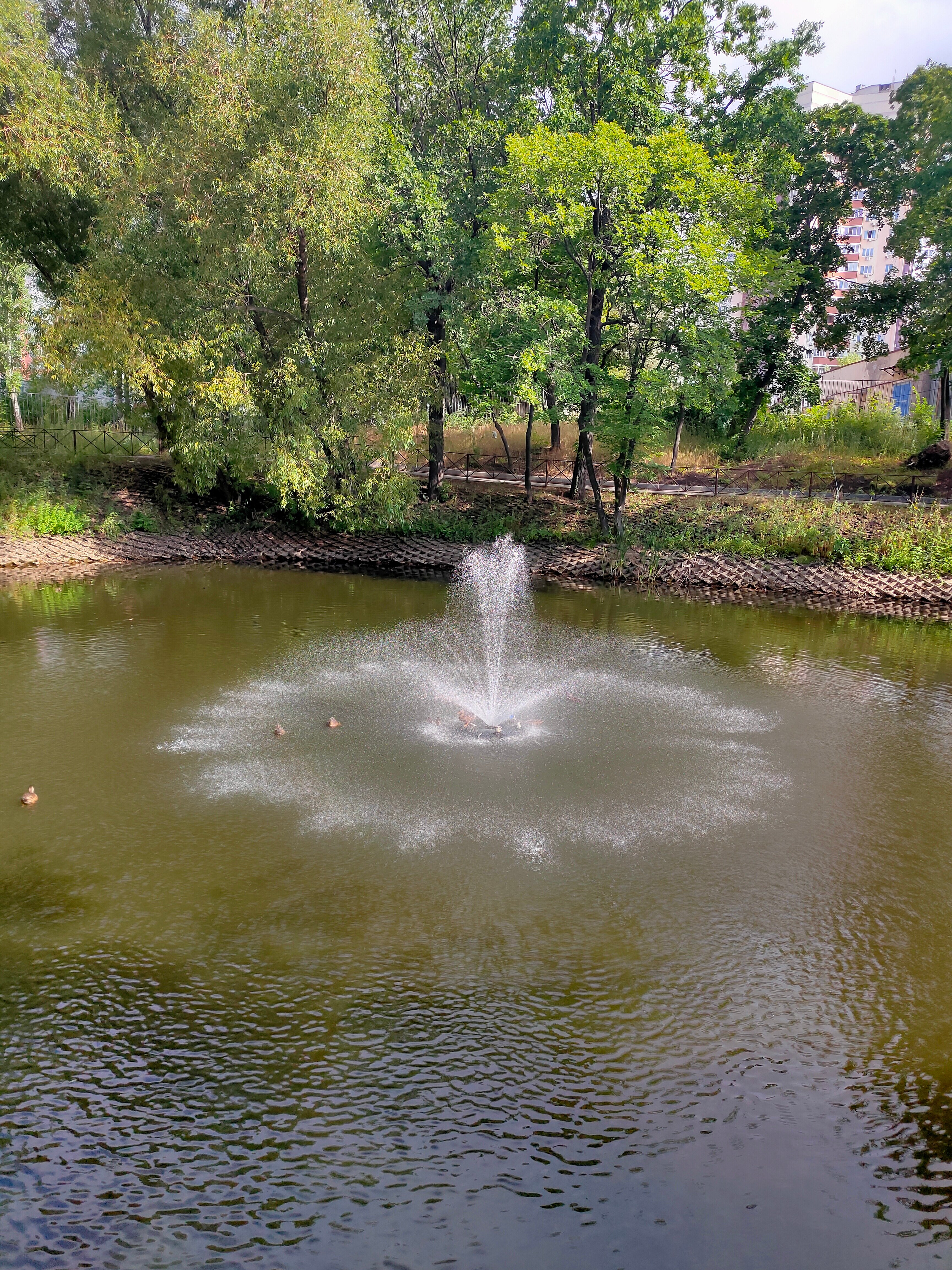 Фото Фрунзенец