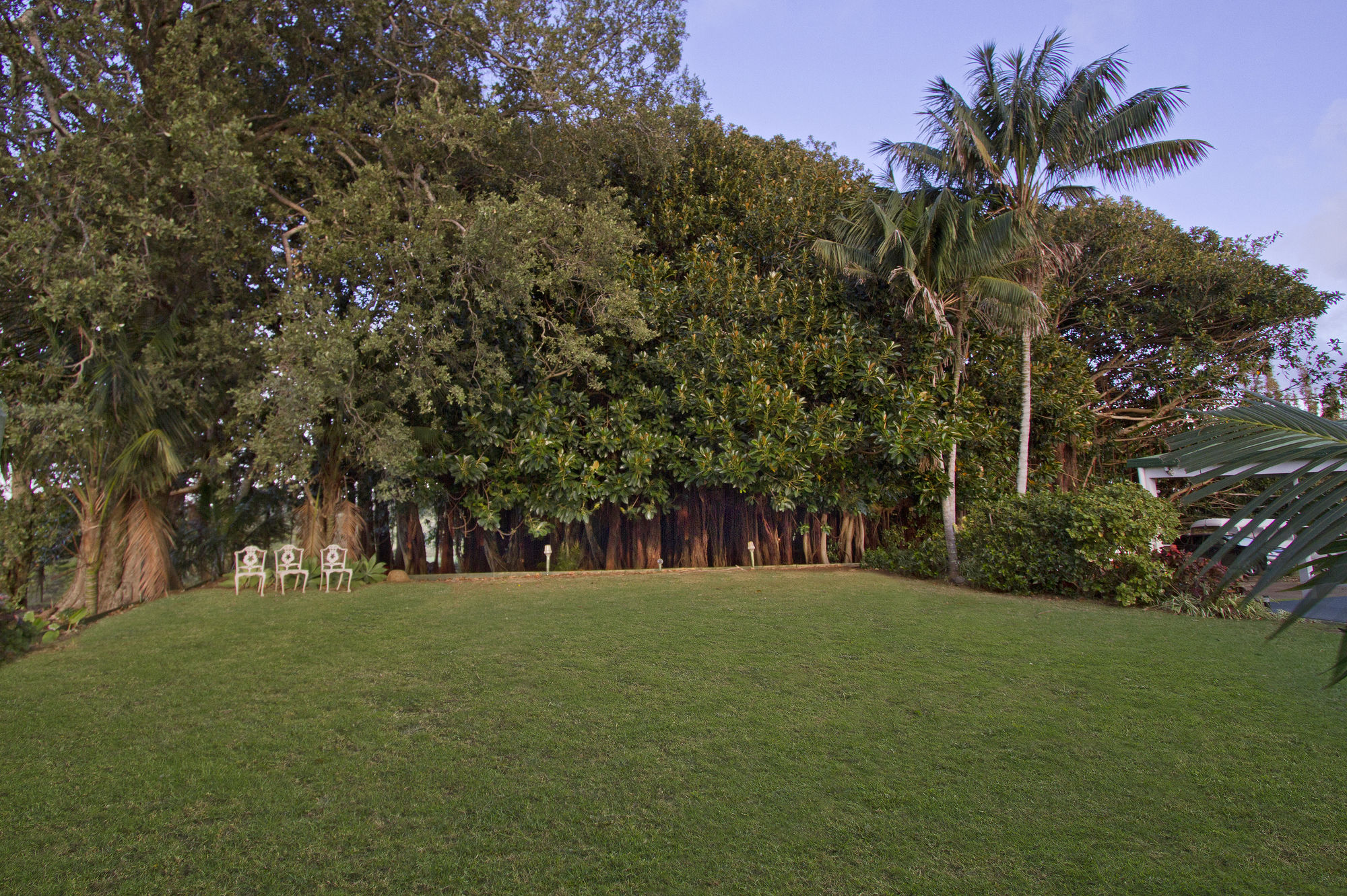 Фото Castaway Norfolk Island