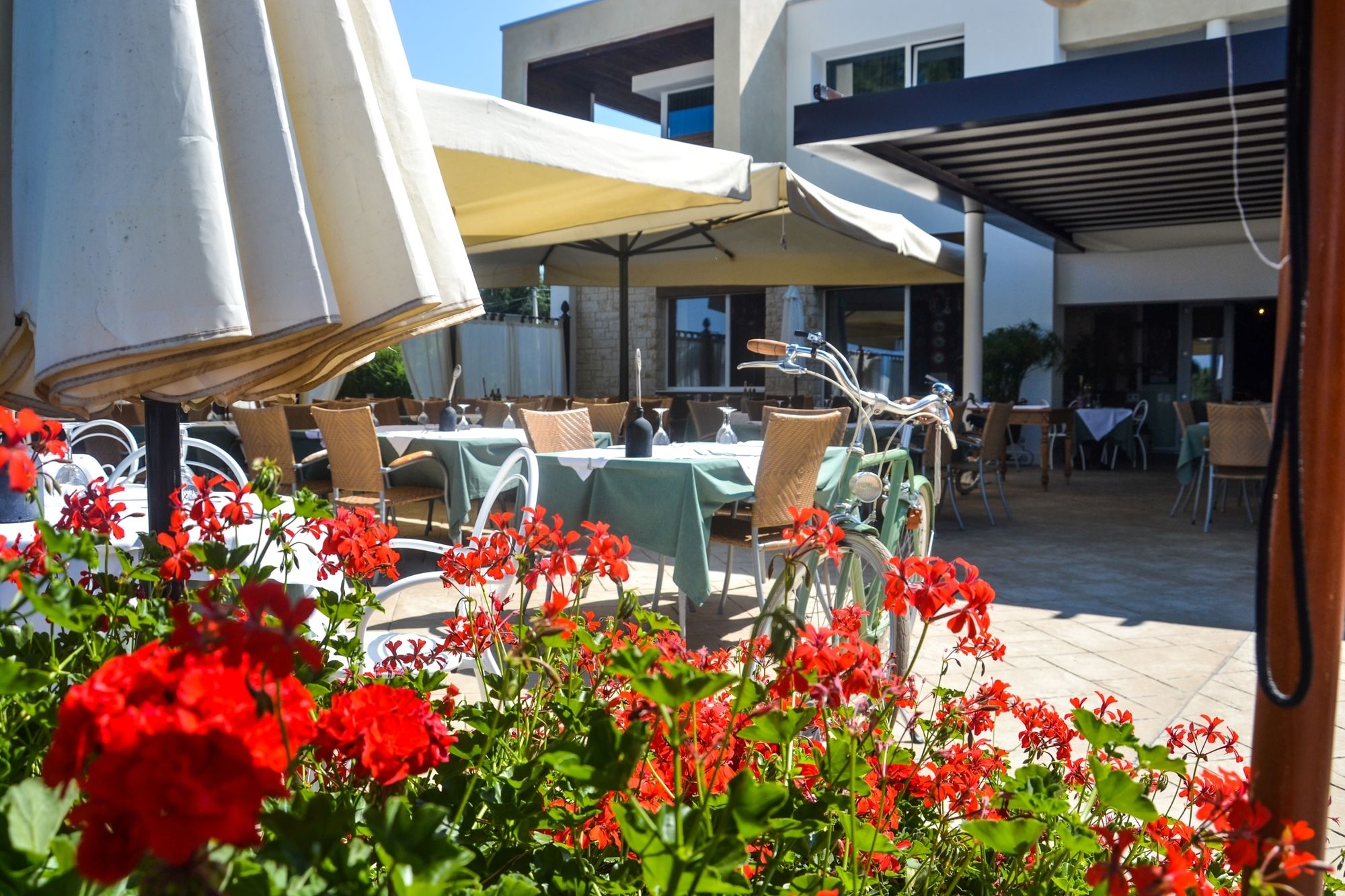 Фото Hotel Maximilian