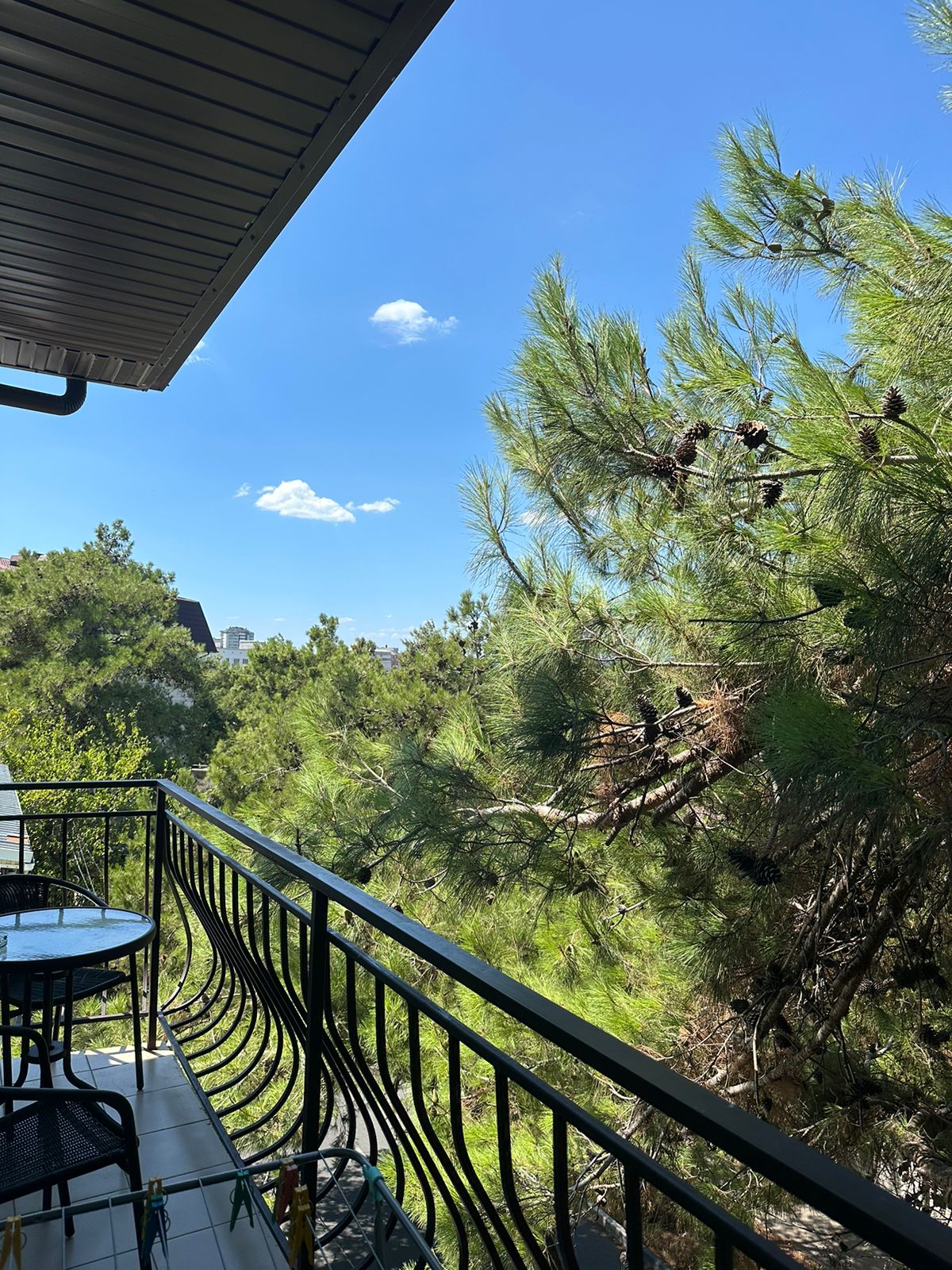 Фото Golden Kids