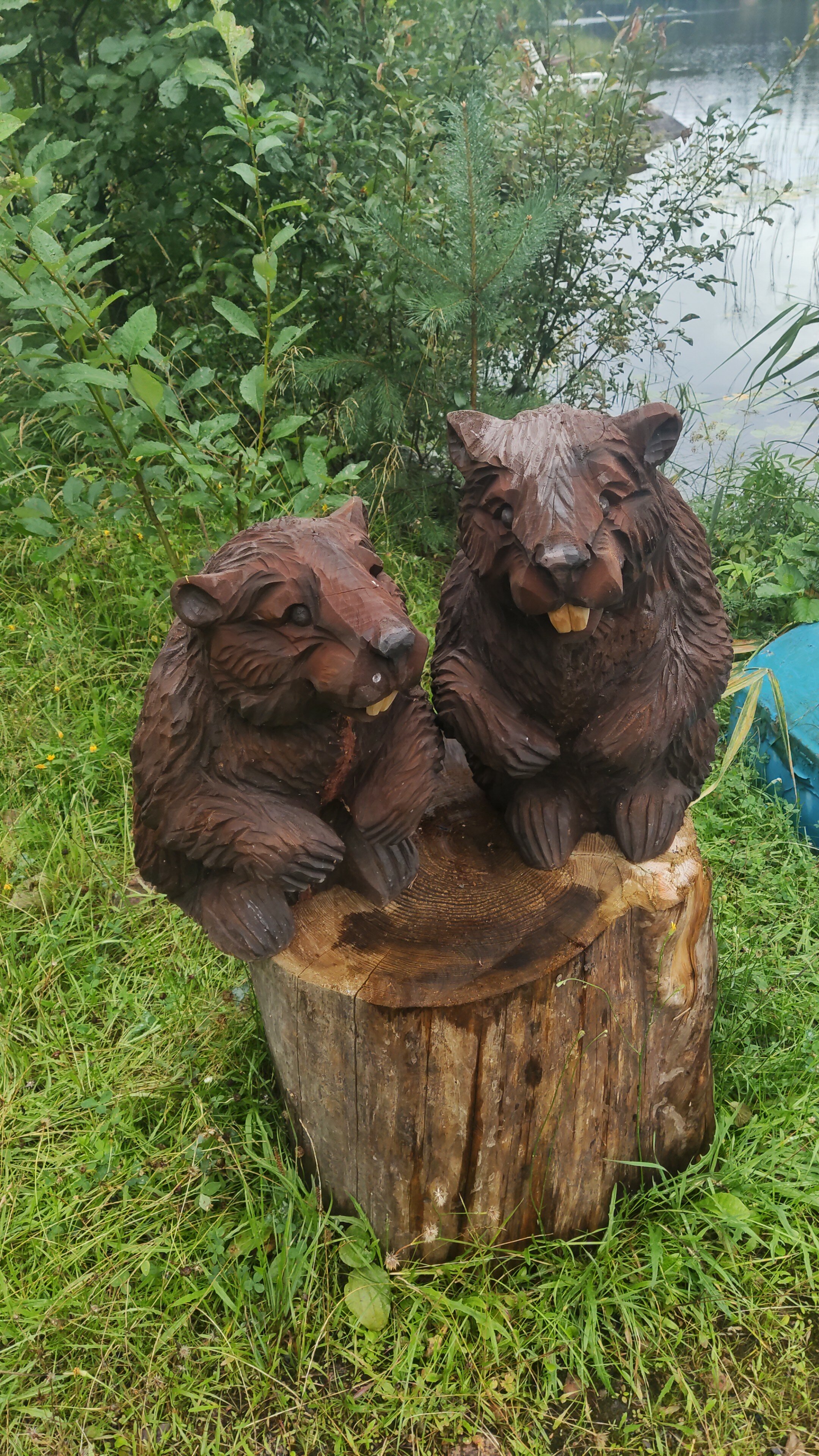 Фото Лесная сказка