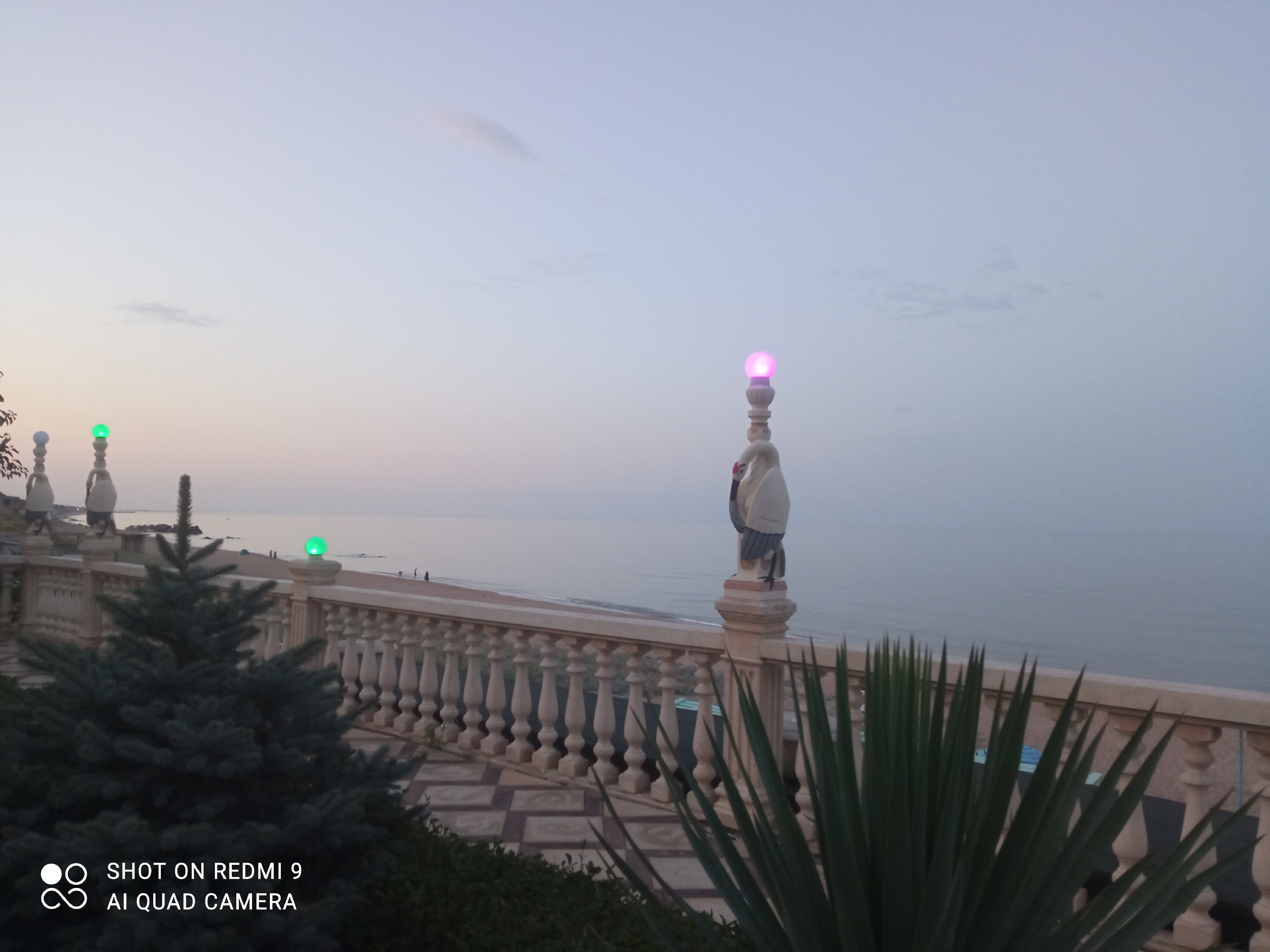 Фото Журавли