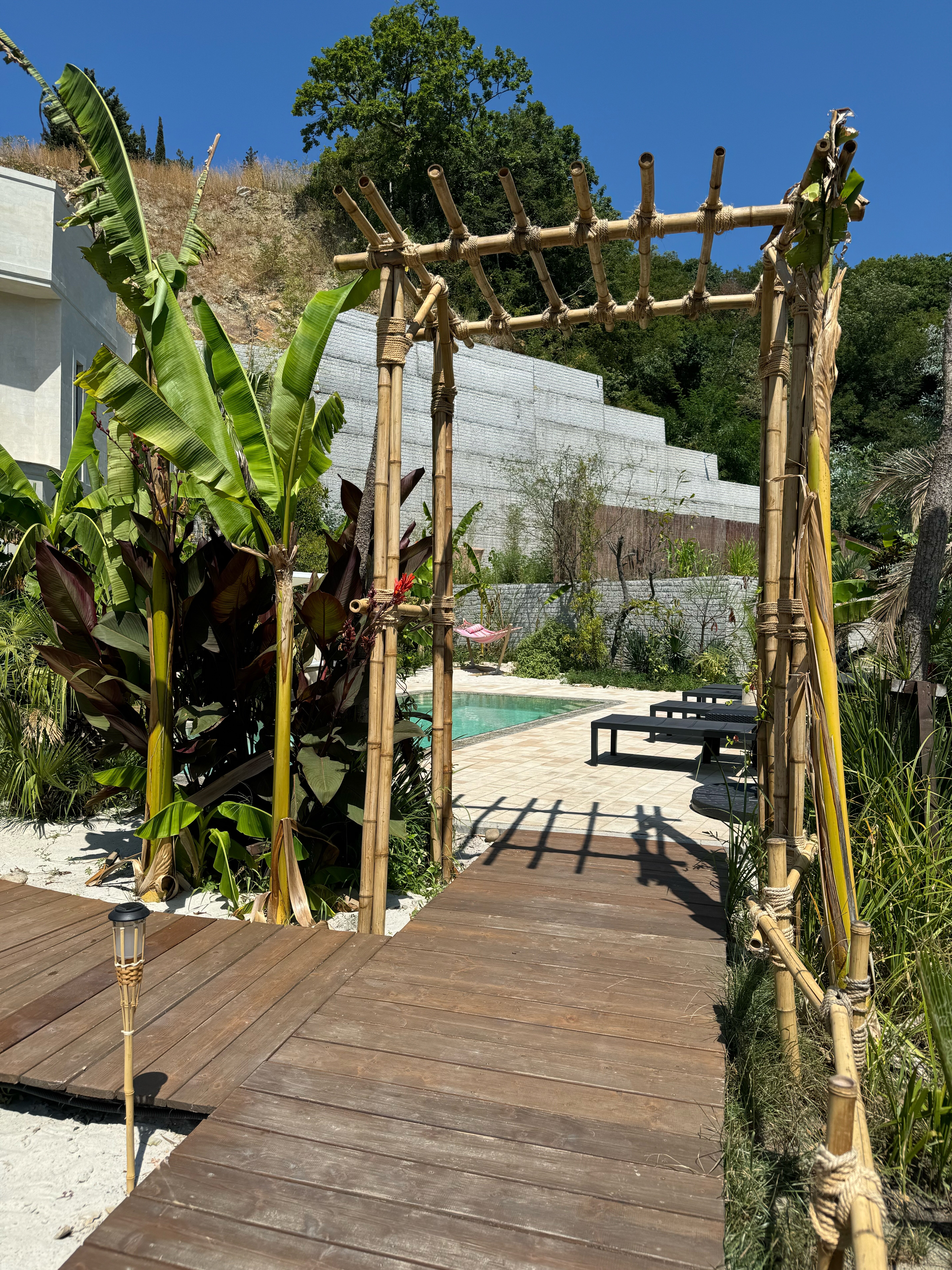 Фото Little Palm