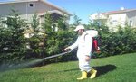 Istanbul Pest Control Probil Pest Control and Disinfection (Istanbul, Kucukcekmece, Yesilova Neighborhood, 2nd Inonu Street), disinfection, disinsection, deratization