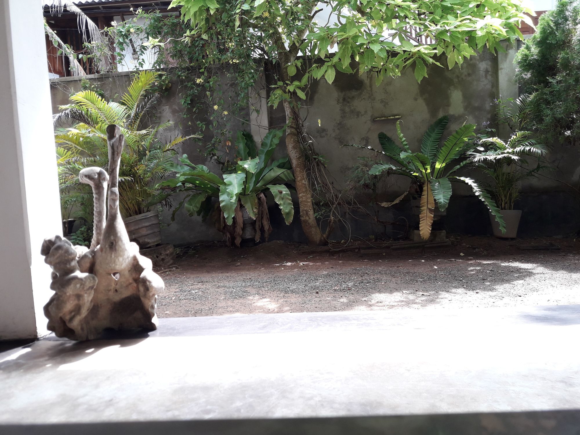 Фото Sea Front Hikkaduwa