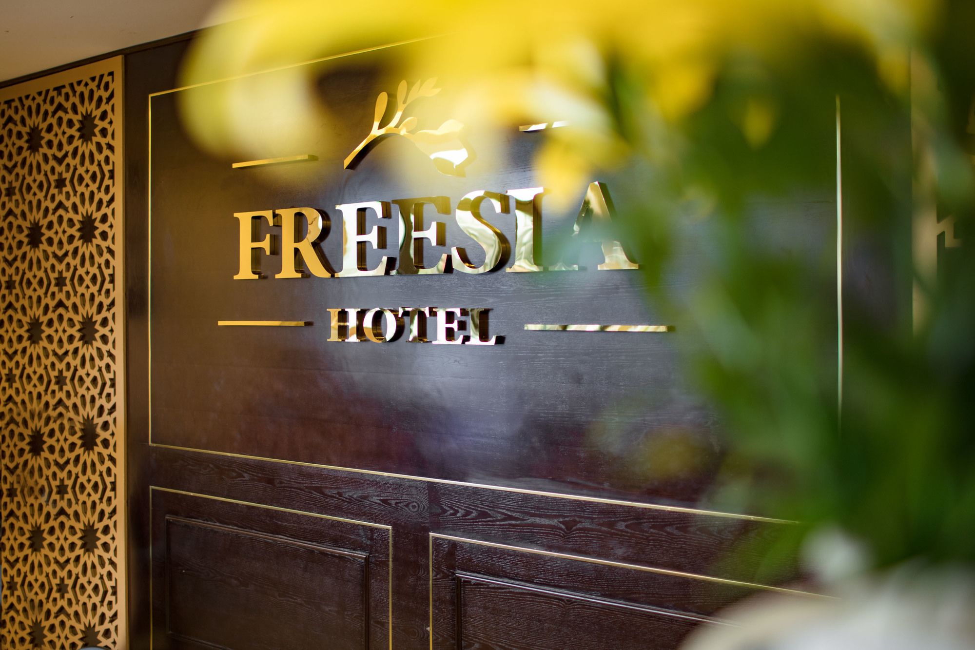 Фото Freesia Hotel