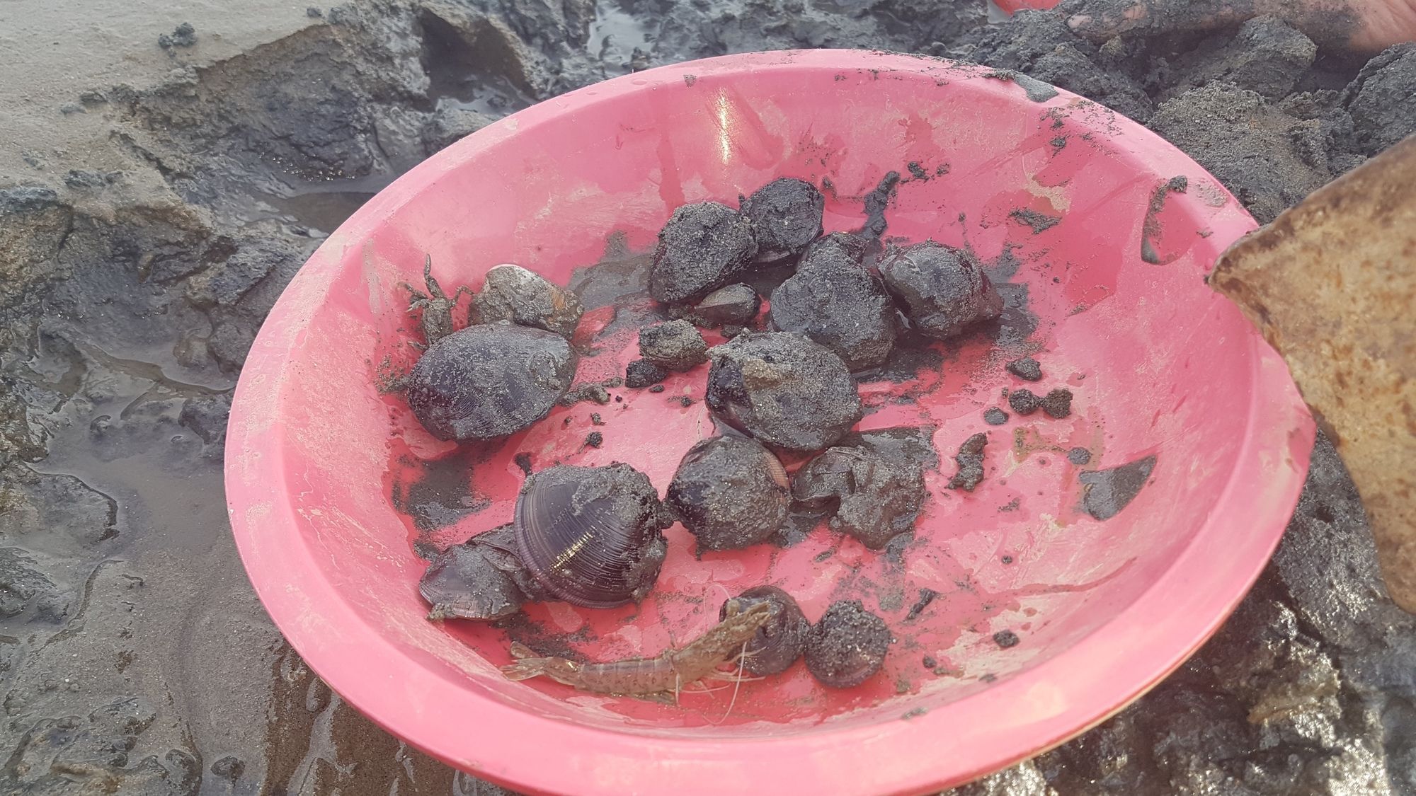 Фото 86406931466