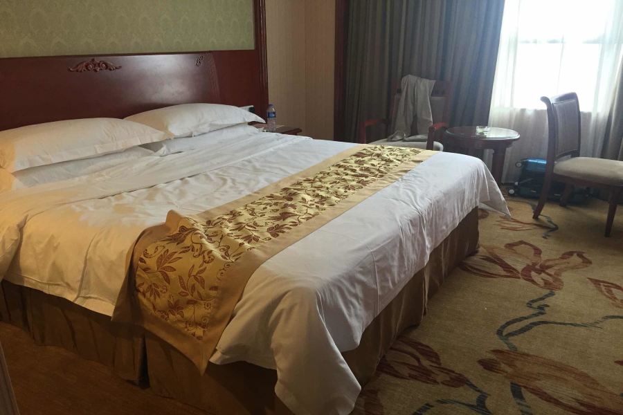 Фото Vienna Hotel