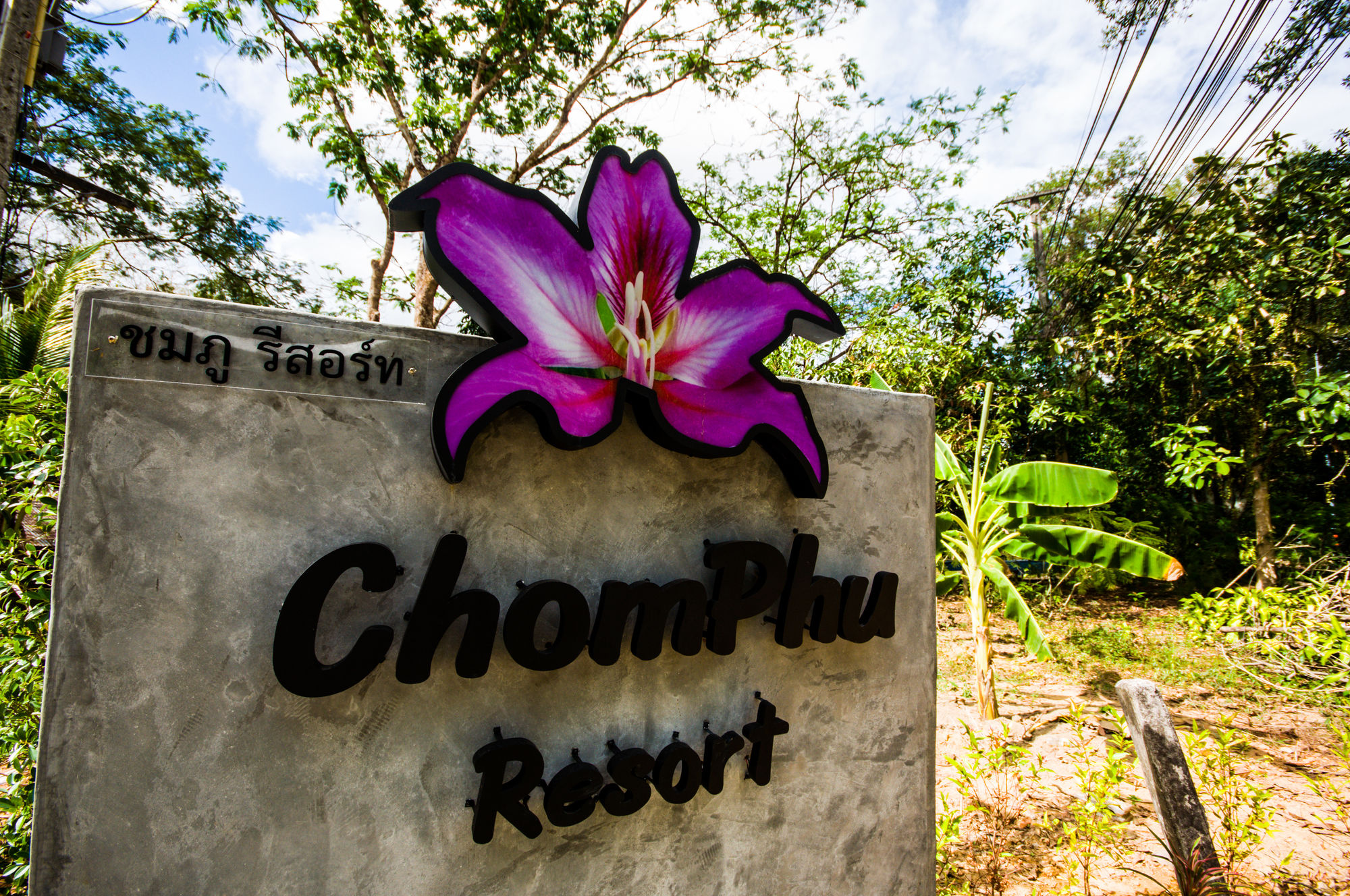Фото Chomphu Resort