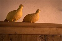 Фото Il Relais dell'Abbazia