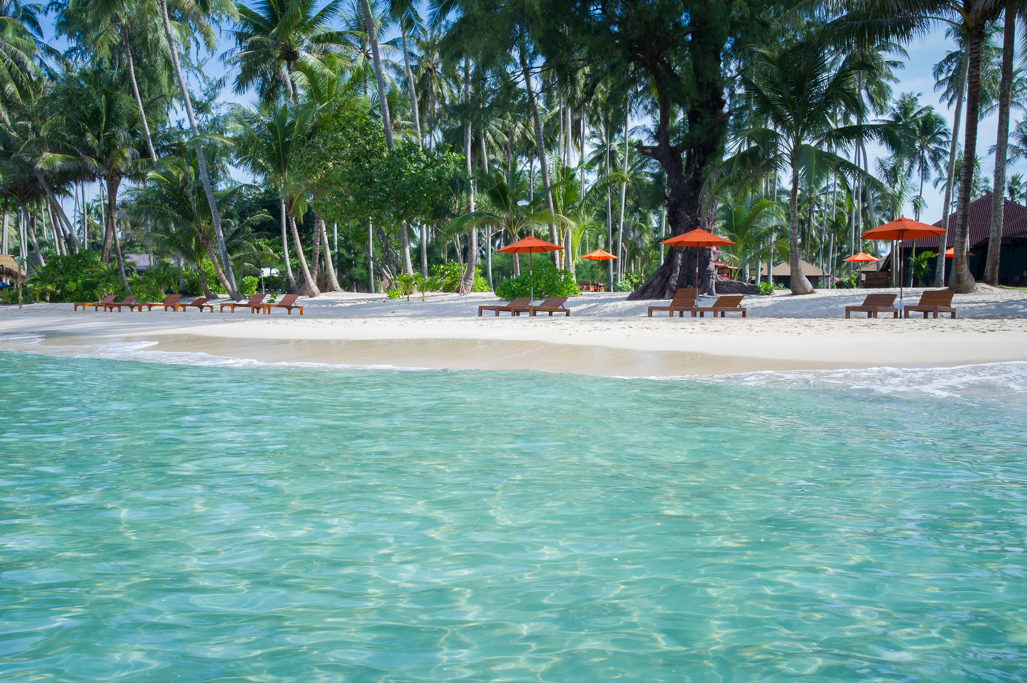 Фото Medee Resort