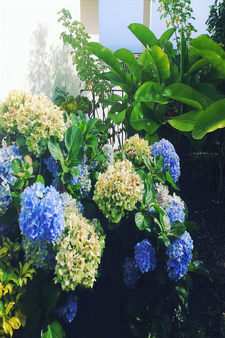 Фото Quinta Mãe dos Homens