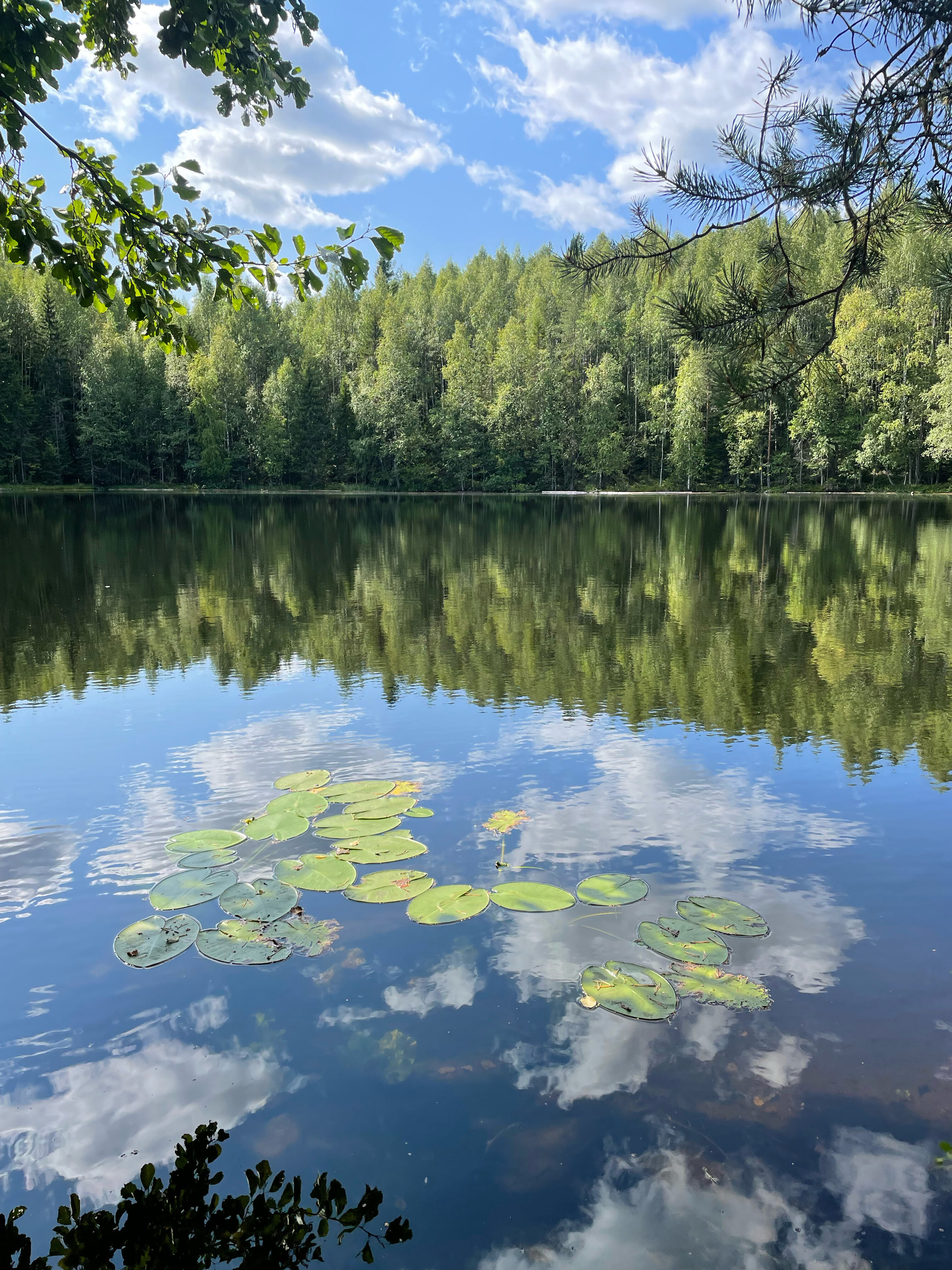 Фото Кеняки