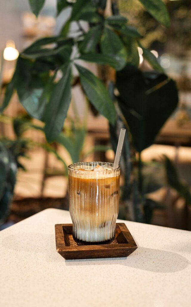 Coffee shop Line Co. - Bilkent, Ankara, photo