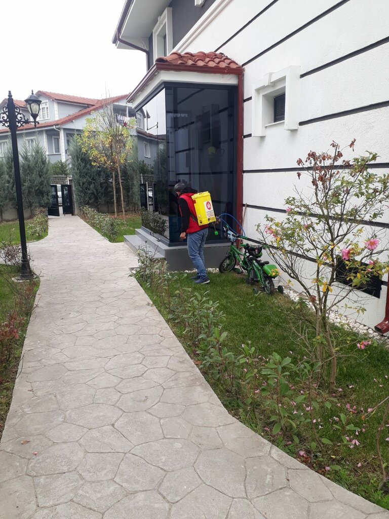 Disinfection, disinsection, deratization Sakarya Pest Control Service, Adapazari, photo
