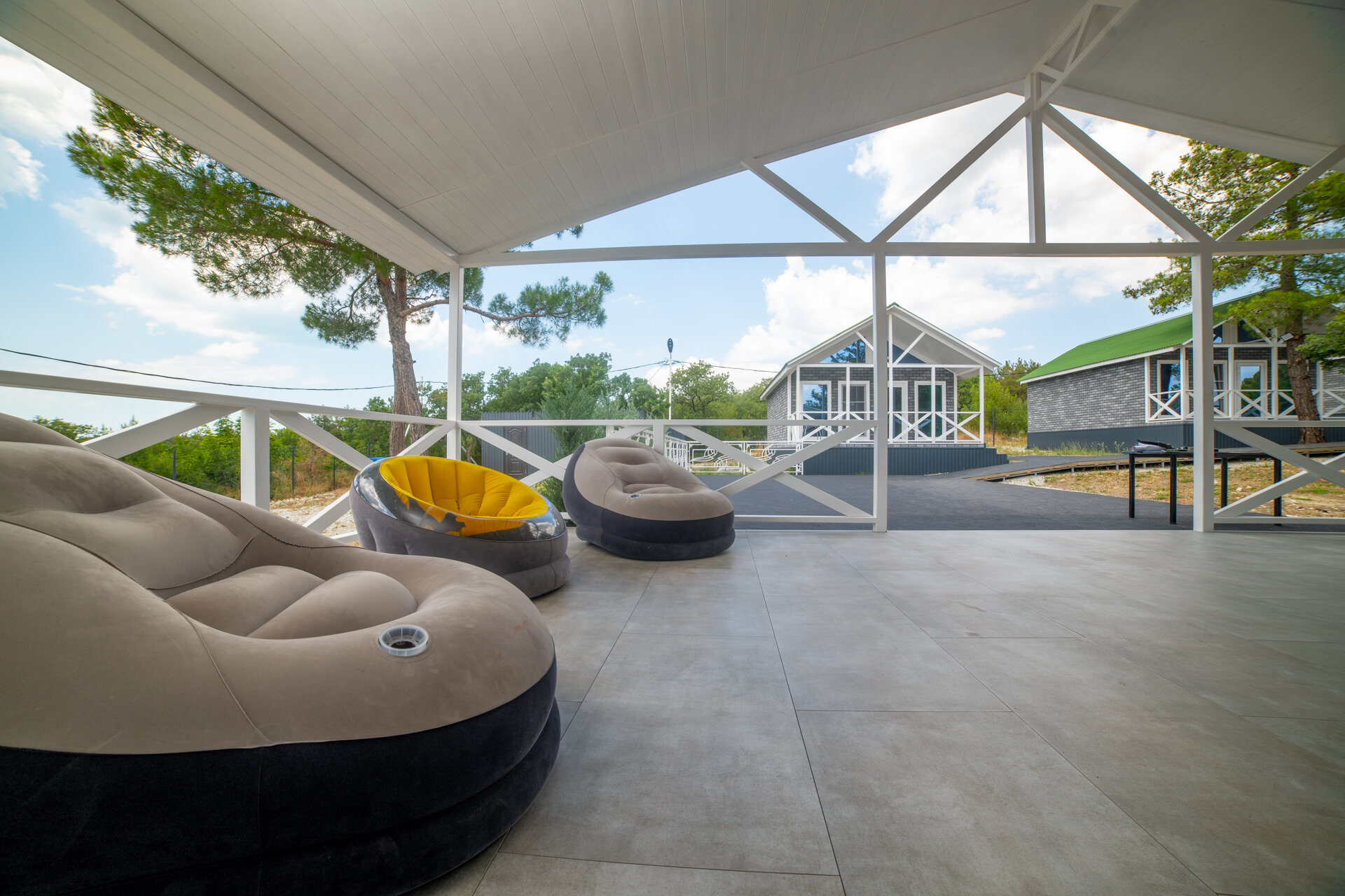 Фото Елки и Иголки