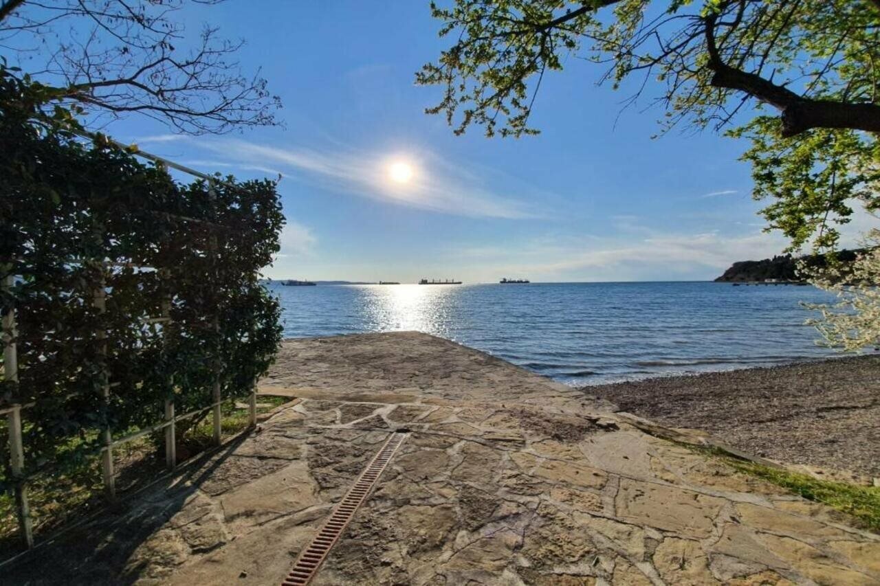 Фото Rezidenca Ortus